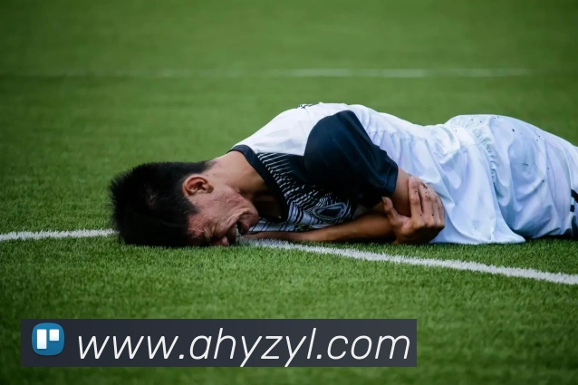 www.ayx.cn登录入口发展历程